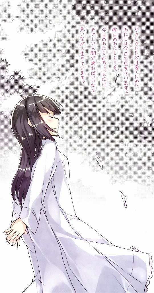 在當今輕小說速食化、插圖化、泡沫化、曇花一現化的戰國時代，《青春豬頭系列》前五本小說以單元劇的故事架構出一個有著「思春期症候群」的世界觀，用一種輕輕的、淡淡的文字書寫出友情、親情、到愛情的複雜關係。從第一集開始鋪陳主線，以大量的支線故事撐起到的大爆點，沒有多餘的內容，也沒有不明所以的設定，鴨志田一老師其實就是好好地、完整的寫了一個故事而已。